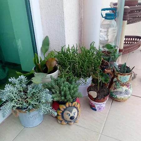 тита Apartment